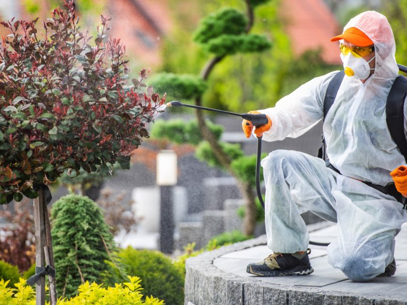 Büyükorhan Haşere İlaçlama