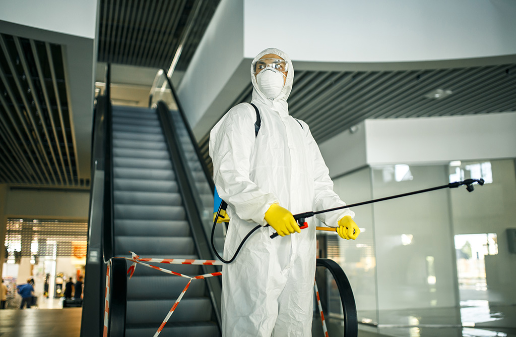 Büyükorhan Haşere İlaçlama